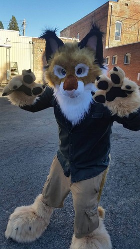 Fursuit partial