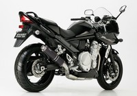 Hurric Supersport Slip On ErsatzdäMpfer (4-1) FüR Suzuki GSX 650F 656 Ccm 08-16