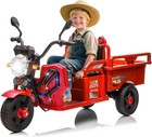 12V Kids Electric Tricycle Ride on Truck Toy 3-Wheel Battery Powered Tractor Car