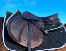 *BARLEY USED * Voltaire Palm Beach 17in Pro Panel 