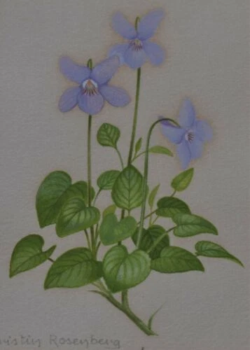 Watercolour Painting Original Floral Art Paintings