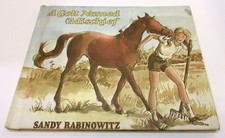 Vintage 1979 Girl's Book A Colt Named Mischief Sandy Rabinowitz Doubleday hc