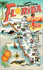 Florida Greetings 1950 Vintage Poster Print Retro Style Travel Wall Art Decor