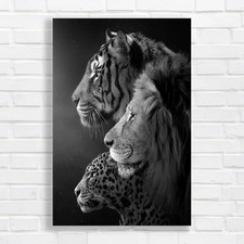 Majestic Big Cats Black White Canvas Print Large Picture Wall Art