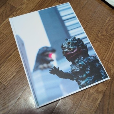 Limited to 500 copies nagnagnag collection works book soft vinyl