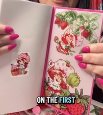 Handmade Reusable Sticker Set | Pocket + Traveler Size Strawberry Style