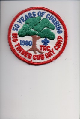 1980 Big Timber Cub Day Camp patch