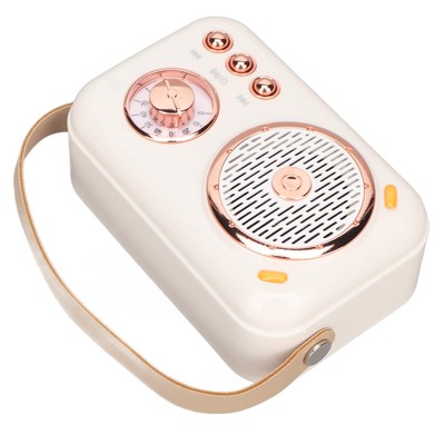 New Karaoke Machine Multifunction Enhanced Bass 6 Modes Portable BT PA Speaker S