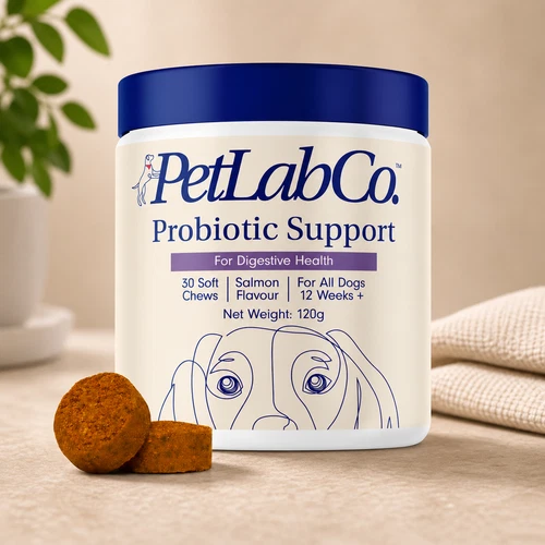 Petlab Co Probiotic Dog Chews Gut Health Support Treats Stop Itchy Skin & Yeast - Picture 3 of 3