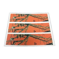 12 Pack 4 Arrow Wraps Mossy Oak Orange Camouflage Vinyl Stickers 1 Wide