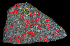 NWA 11639 ~ Achondrite Ureilite Slice ~ Graphite / Diamond Aggregates ~ 5.61 g