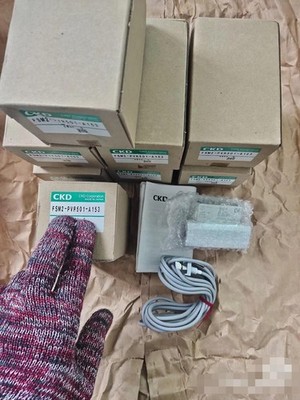 1pc NEW FSM2-PVR501-A153 Flowmeter By DHL or FedEx *mz