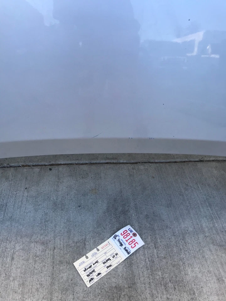 Dodge Dakota Hood 2005 2006 2007 OEM solo recogida local Foto 2 de 4