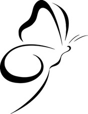 Butterfly VINYL DECAL Sticker Wall Window Decor BUTTERFLIES car bumper