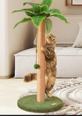 Katzenkratzbaum 84 cm niedlicher Kratzbaum Kätzchen mit Sisalseil für Katzen im Innenbereich