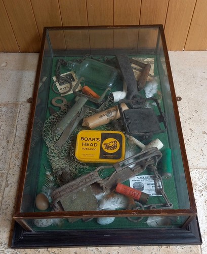 Antique Glass Museum/shop Display Cabinet Country hunting game display 1900 Rare