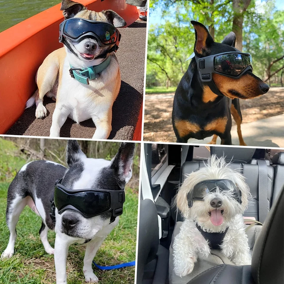 Pet Dog Goggles UV Protection Windproof Sunglasses Adjustable Strap Outdoor/ USA - Image 2 of 2