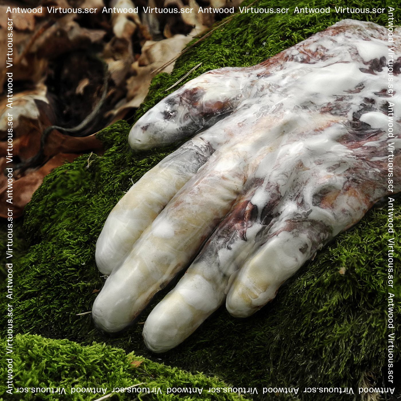 Альбом Antwood Virtuous.scr (CD) (ИМПОРТИРОВАН ИЗ Великобритании)