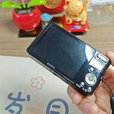 SONY Cyber-shot DSC-W570 16.1MP 5x Optical Zoom Digital Camera