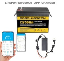 12V 230Ah 300Ah Lithium LiFePO4 Akku BMS Deep Cycles Wiederaufladbar Bluetooth