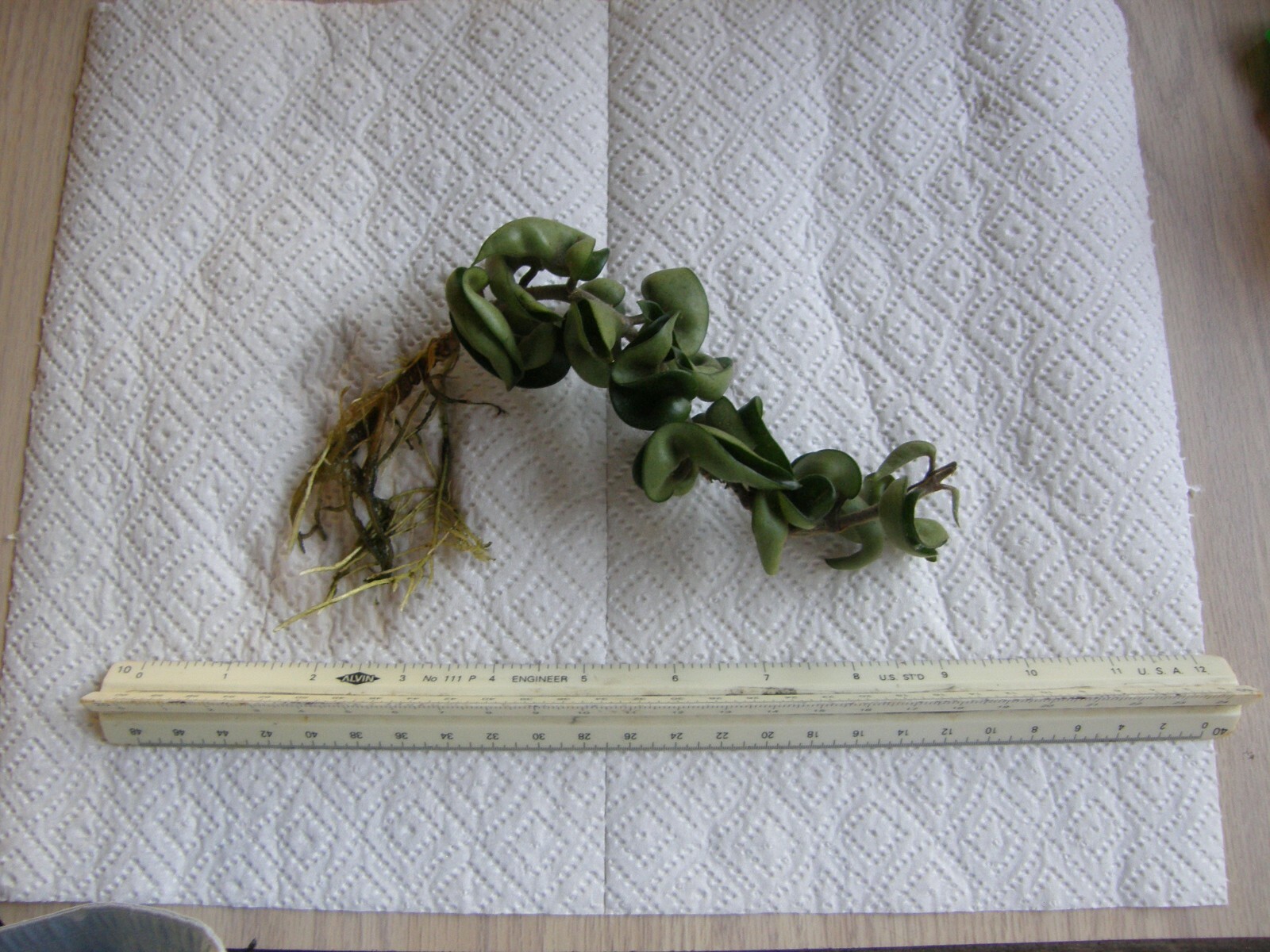 Picture 5 of 8