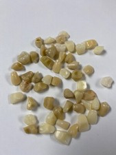 Teeth 50 Loose Acrylic Resin Teeth Mix