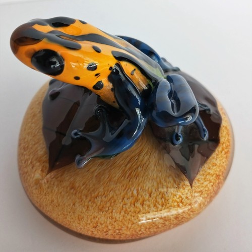 Orient and Flume David Smallhouse Art Glass Paperweight Frog Yellow Dart Frog - Picture 12 of 12