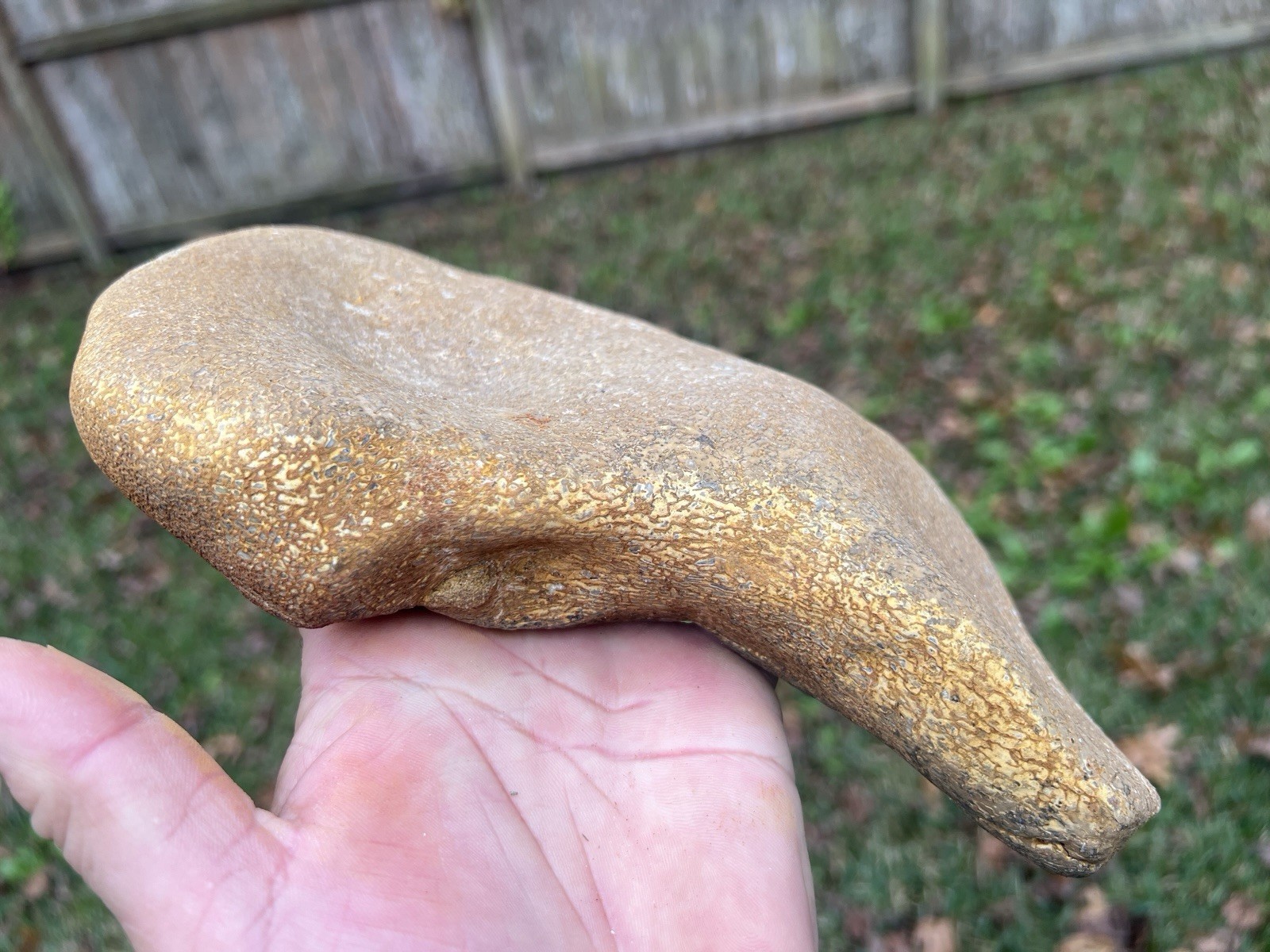Texas Petrified Stone Fossil Mammoth Bone Rare Unique Cabbing Material