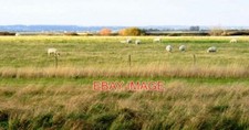 PHOTO  GRAZING LAND AT STEEPLE HALL NEAR STEEPLE MOST OF THE GRIDSQUARE IS USED