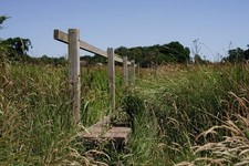 Photo A2 Wey South Path Greatham/TQ0415 Bridge across a drainage channe c2018