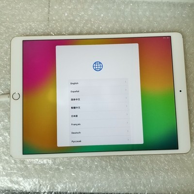 Apple iPad Pro (10.5-inch) A1701 256GB, Wi-Fi, Gold - Screen