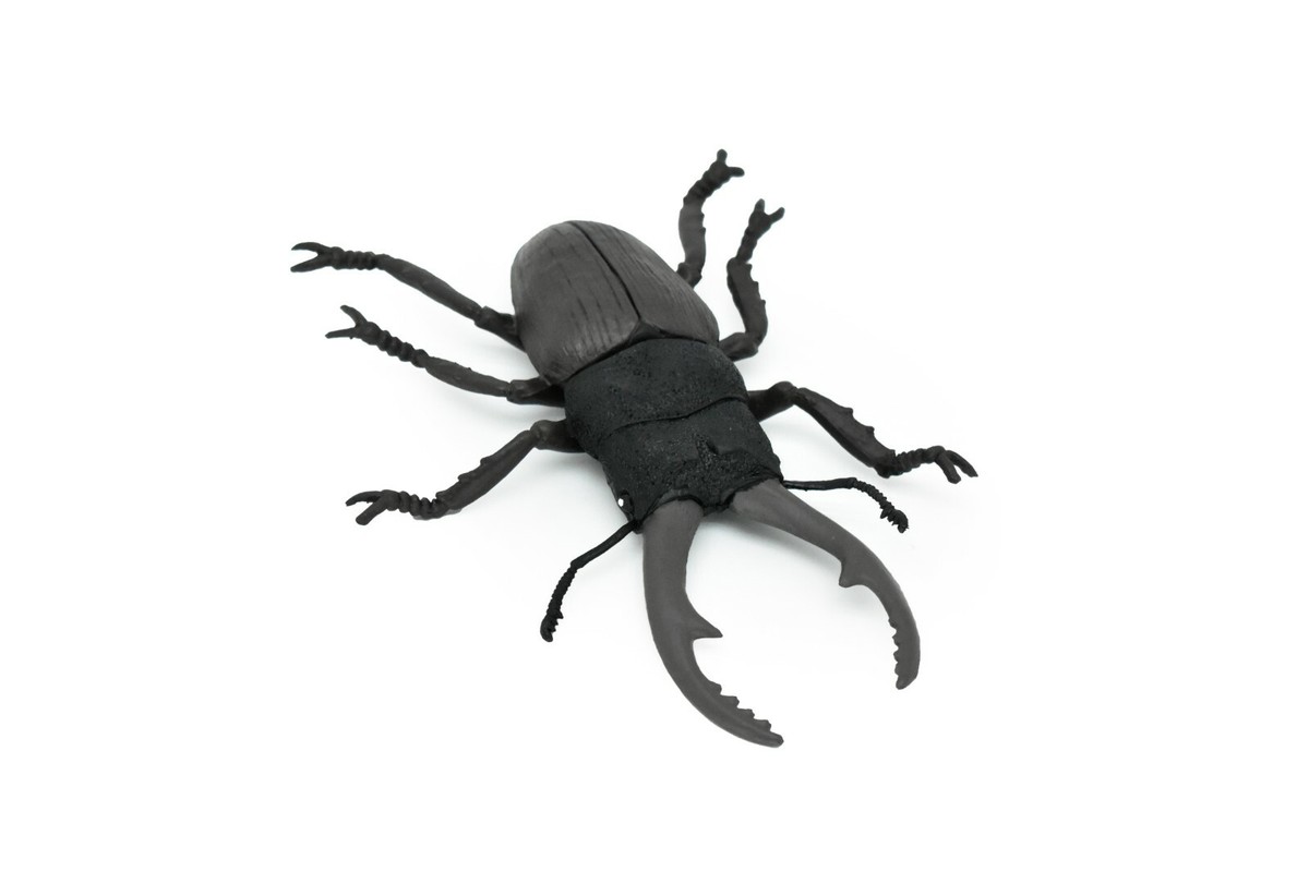 Beetle, Giant Stag, Very Nice Rubber Replica 6
