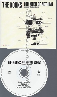 CD--KOOKS,THE--TOO MUCH OF NOTHING