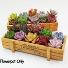 Wooden Flower Pot Crate Vintage Succulent Planter Box Rustic Garden Decor