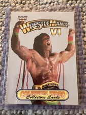 Ultimate Warrior Cards and Memorabilia Guide 30