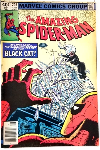The Amazing Spider-Man #205 Black Cat June 1980 VF+ Boarded Combined Shipping