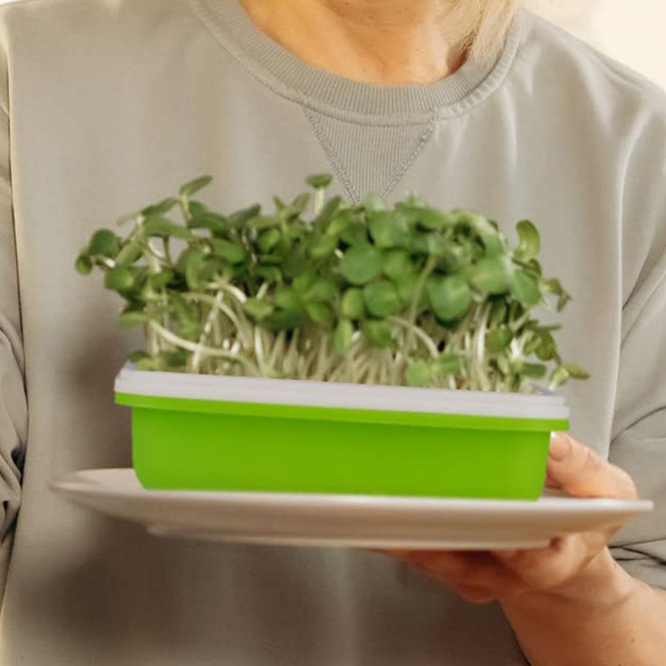 Seedling Starter Trays Hydroponic Planting Box Plant Germination Trays