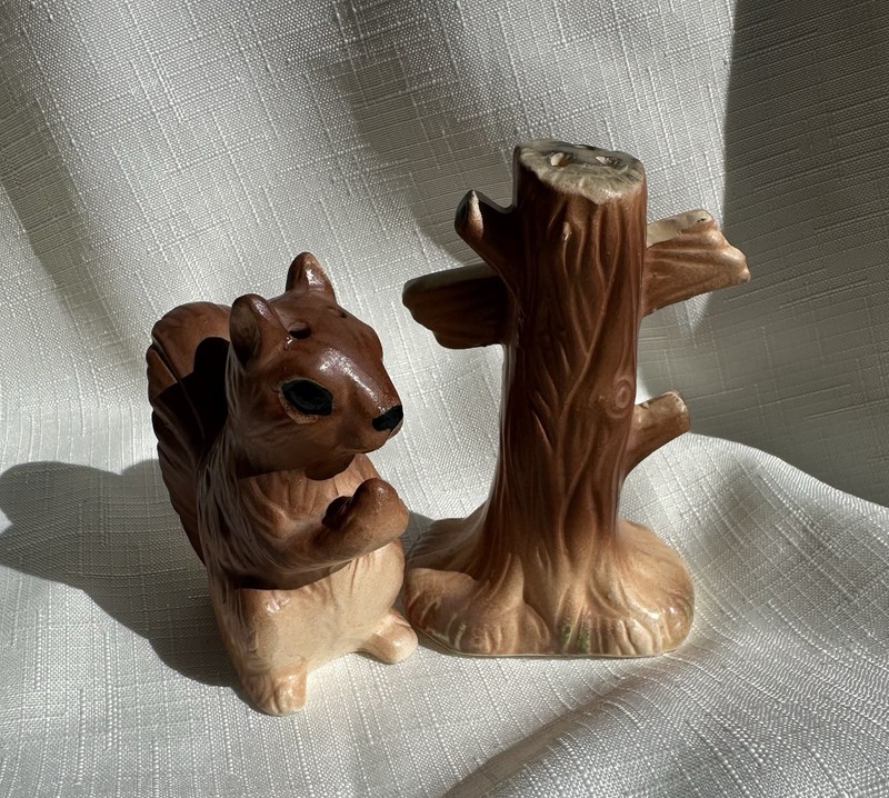Japanese Salt And Pepper Shakers/ Squirrel