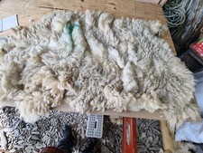Raw Sheep Fleece Spinning Weaving Stuffing White Welsh Mt 1.5 kg St= 3.5" (480