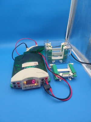 #ad BIO RAD PowerPac Basic Electrophoresis Power Supply w Mini Protean Tetra Cell $519.20