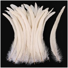 iHUFeather Natural Rooster Tail Feathers 50pcs 10-12inch Long Rooster Coque Tail