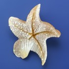 Vintage Starfish & Seashell Bookmark Clip Style, Sparkle Finish Reading Gift NIB — photo 4