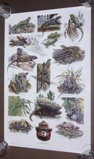 Vintage 1980s US Forest Service Smokey Bear 20x30 Reptile Poster 85-NASF-CFFP-22