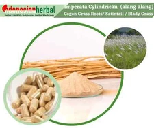 [idHerb] FRESH POWDER Pure Cogon Grass Roots / Satintail / Blady Grass