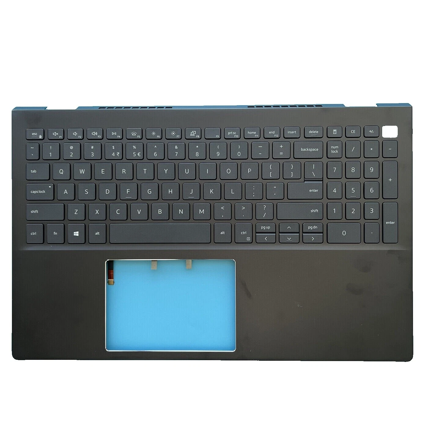 Laptop Marrón Dell palmrests