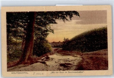 50843191 - 4300 Essen Wolfsbachtal, Wo der Bach im Baumesschatten Essen