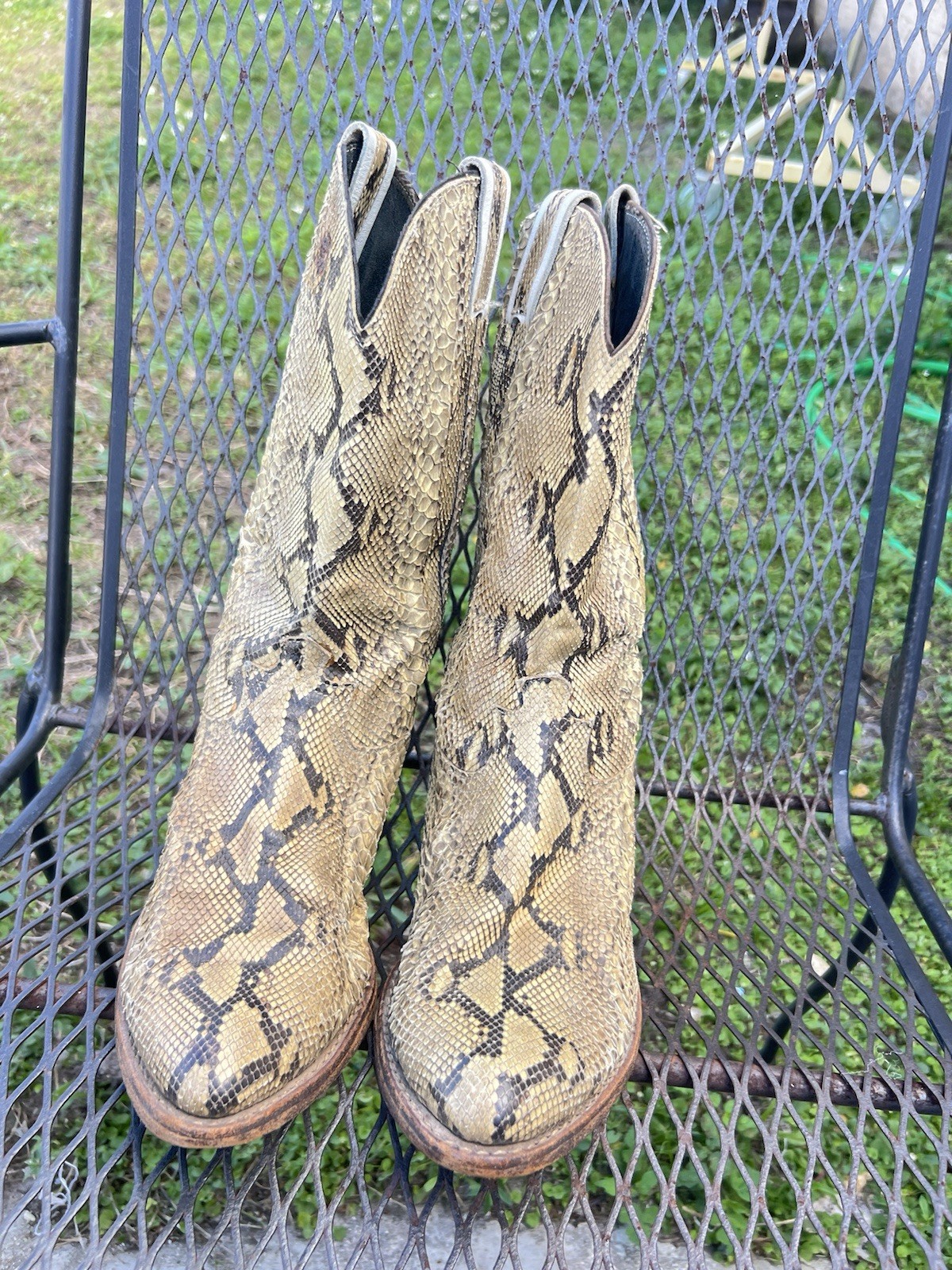 Full Natural Brown Genuine Snakeskin Python Men C… - image 21