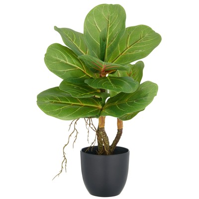 Kunstpflanze Ficus Lyrata, Farbe grün, inkl. Topf, Höhe ca. 34 cm