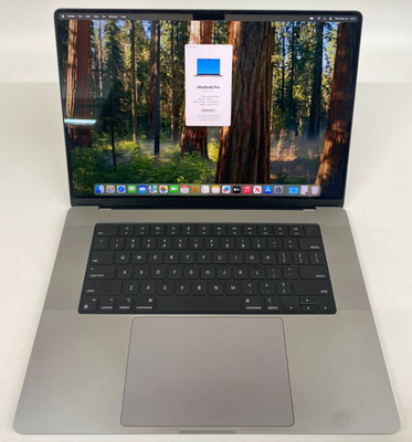 Apple MacBook Pro A2485 16,2'' M1 MAX 32GB RAM 512GB SSD Grade C US 150 Zyklen