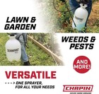 Chapin 2 Gallon Pump Sprayer SureSpray 34 Inch Hose for Fertilizer Weed Pest